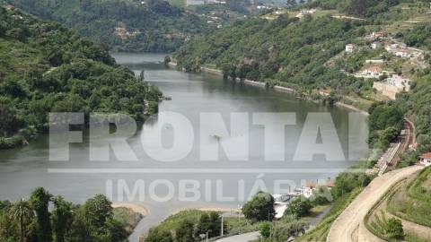 Terreno Único com Potencial Habitacional ou Agrícola | Santa Marinha do Zêzere, Baião