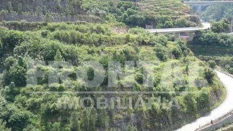 Terreno Único com Potencial Habitacional ou Agrícola | Santa Marinha do Zêzere, Baião