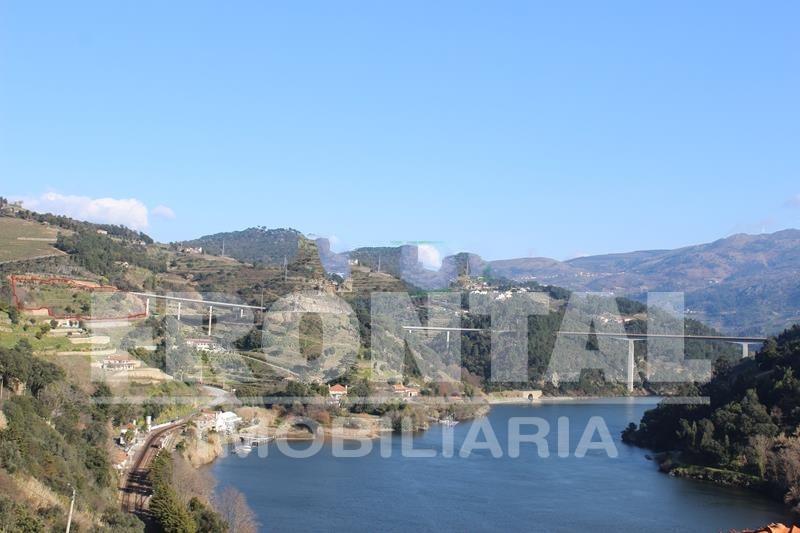 Terreno Único com Potencial Habitacional ou Agrícola | Santa Marinha do Zêzere, Baião