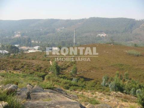 Terreno com 70.616 m² para comércio ou apoio a indústria | Zona Industrial de Campo, Valongo.