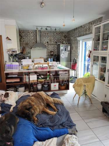 Propriedade com 2 Moradias, Piscina e Terreno