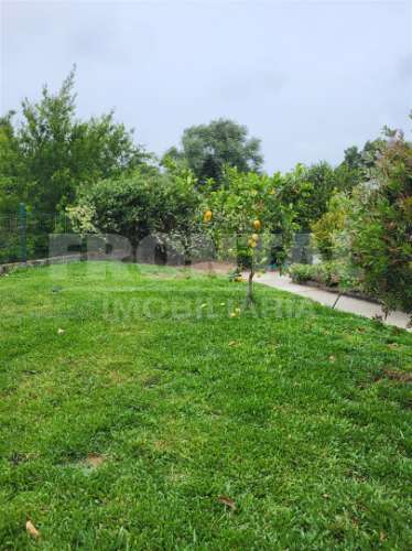 Propriedade com 2 Moradias, Piscina e Terreno