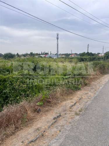 Terreno  Arrendamento em Vila Nova da Telha,Maia