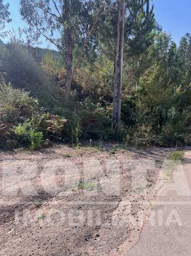 Terreno Industrial em Lordelo / Rebordosa – 25.543 m²