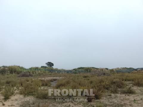 Terreno Industrial Plano – 7.200 m² | Perto do Aeroporto | Zona Industrial de Perafita, Matosinhos