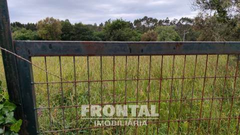 Terreno Misto com 1 104 m² — Potencial de Construção e Natureza Envolvente