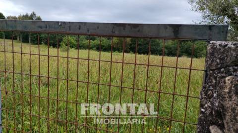 Terreno Misto com 1 104 m² — Potencial de Construção e Natureza Envolvente