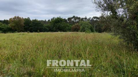 Terreno Misto com 1 104 m² — Potencial de Construção e Natureza Envolvente