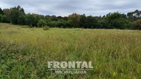 Terreno Misto com 1 104 m² — Potencial de Construção e Natureza Envolvente