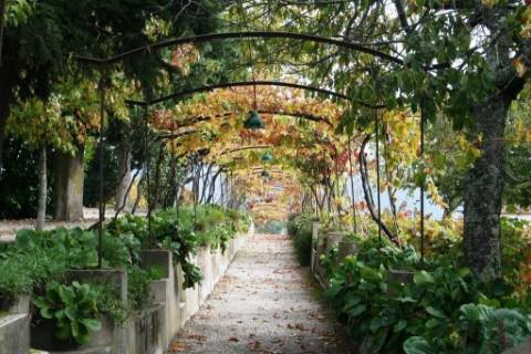 Quinta  Venda em Cumieira,Santa Marta de Penaguião