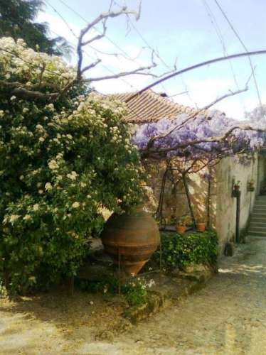 Quinta  Venda em Cumieira,Santa Marta de Penaguião