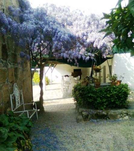 Quinta  Venda em Cumieira,Santa Marta de Penaguião