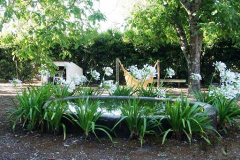 Quinta  Venda em Cumieira,Santa Marta de Penaguião