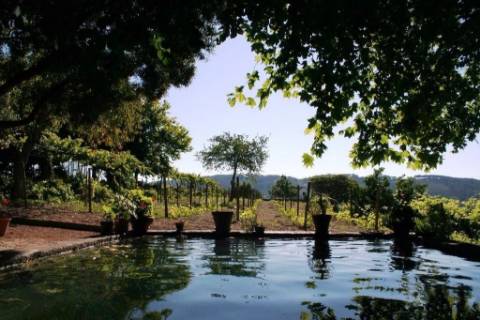 Quinta  Venda em Cumieira,Santa Marta de Penaguião