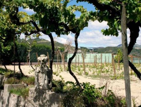 Quinta  Venda em Cumieira,Santa Marta de Penaguião