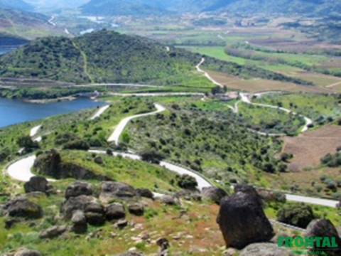 Quinta T4 Venda em Adeganha e Cardanha,Torre de Moncorvo