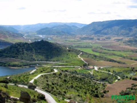 Quinta T4 Venda em Adeganha e Cardanha,Torre de Moncorvo