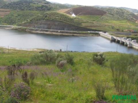Quinta T4 Venda em Adeganha e Cardanha,Torre de Moncorvo