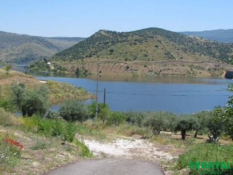 Quinta T4 Venda em Adeganha e Cardanha,Torre de Moncorvo