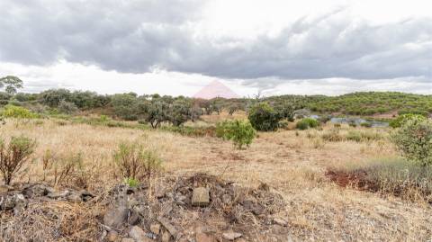 Terreno Rústico  Venda em Vaqueiros,Alcoutim