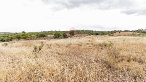 Terreno Rústico  Venda em Vaqueiros,Alcoutim