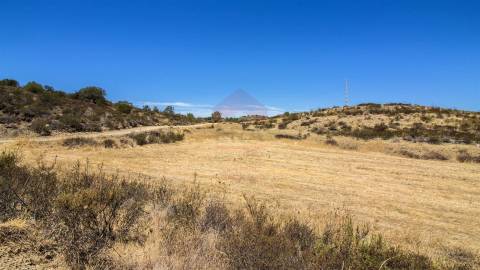 Terreno Rústico  Venda em Castro Marim,Castro Marim