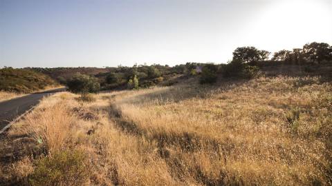 Terreno Rústico  Venda em Azinhal,Castro Marim