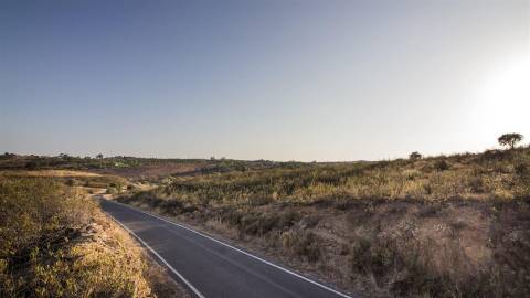 Terreno Rústico  Venda em Azinhal,Castro Marim