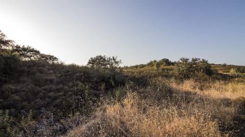 Terreno Rústico  Venda em Azinhal,Castro Marim
