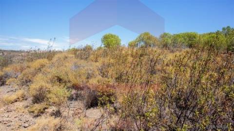 Terreno Rústico  Venda em Azinhal,Castro Marim