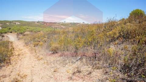 Terreno Rústico  Venda em Azinhal,Castro Marim