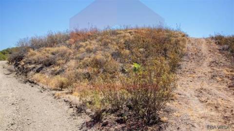 Terreno Rústico  Venda em Azinhal,Castro Marim