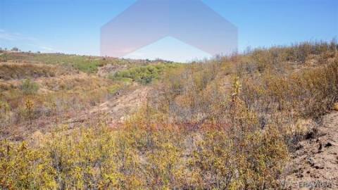 Terreno Rústico  Venda em Azinhal,Castro Marim