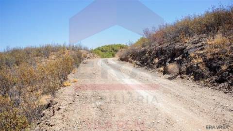 Terreno Rústico  Venda em Azinhal,Castro Marim
