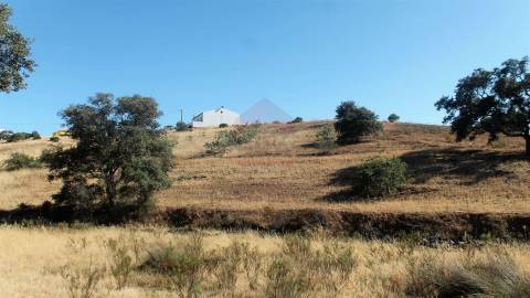 Terreno Rústico  Venda em Castro Marim,Castro Marim