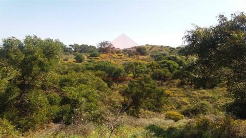 Terreno Misto  Venda em Vila Nova de Cacela,Vila Real de Santo António