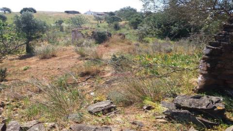 Terreno Misto  Venda em Vila Nova de Cacela,Vila Real de Santo António