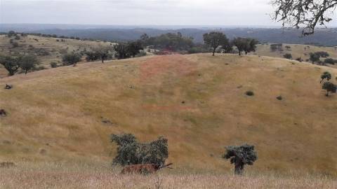 Herdade  Venda em Beja (Salvador e Santa Maria da Feira),Beja