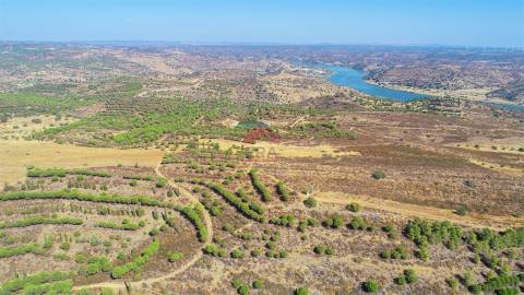 Terreno Rústico  Venda em Odeleite,Castro Marim
