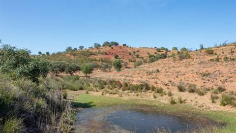 Herdade  Venda em Mértola,Mértola