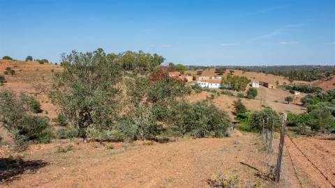 Herdade  Venda em Mértola,Mértola