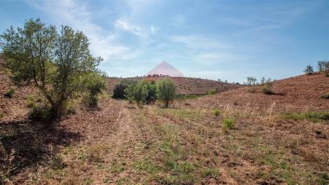 Herdade  Venda em Mértola,Mértola