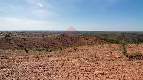 Herdade  Venda em Mértola,Mértola