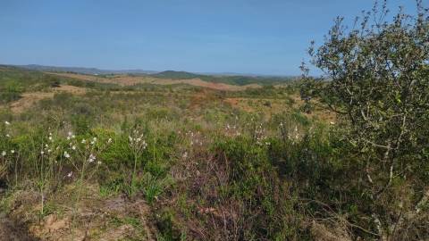 Terreno Rustico, Alcoutim