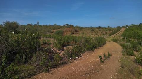 Terreno Rustico, Alcoutim