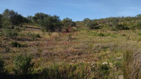 Terreno Rustico, Alcoutim