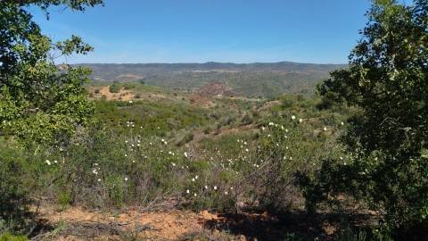 Terreno rústico 3 hectares