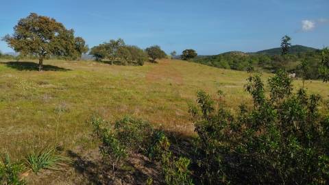 Terreno Rustico, Alcoutim