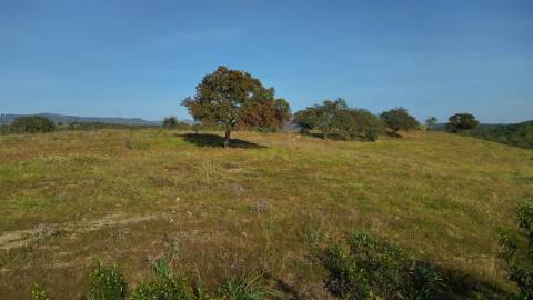 Terreno Rustico, Alcoutim
