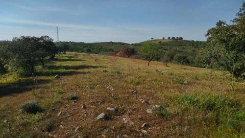 Terreno Rustico, Alcoutim